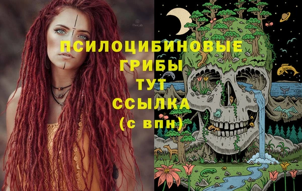 таблы Дмитров