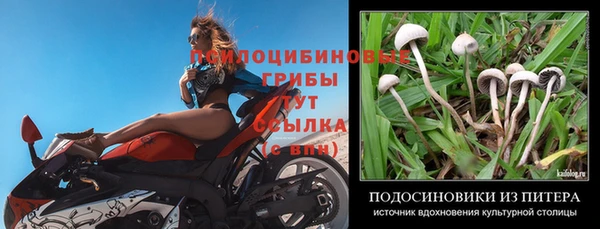 дживик Дмитриев