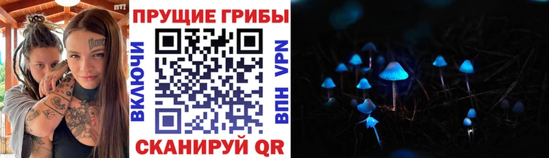 MEGA сайт  Сызрань  Галлюциногенные грибы MAGIC MUSHROOMS  наркошоп 